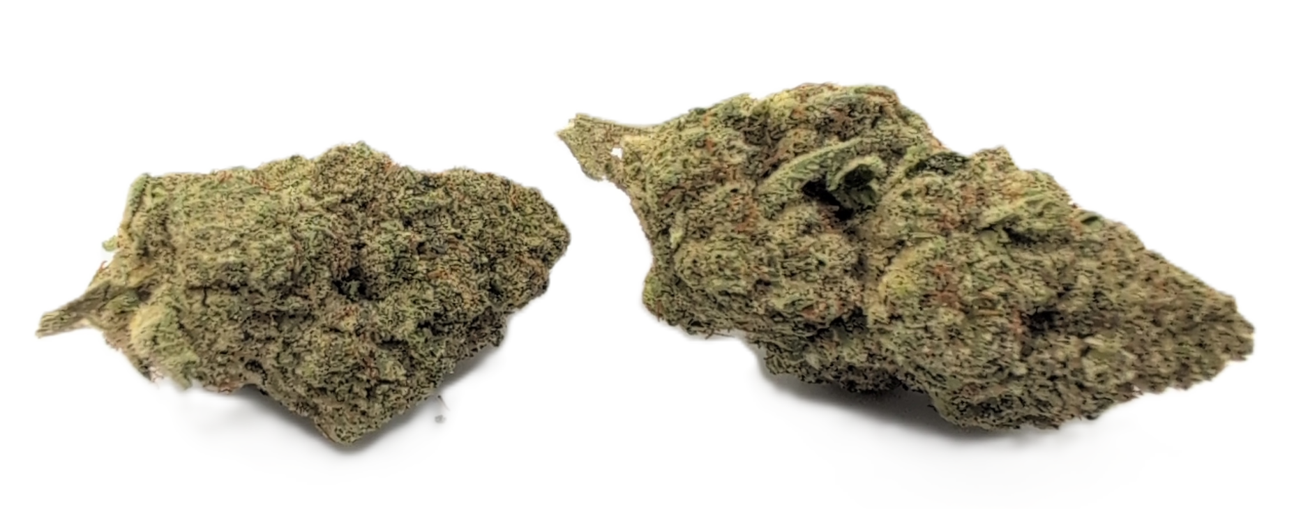 foto_no_exif - 2025-12-02T060013.740 RS11 - Image 1