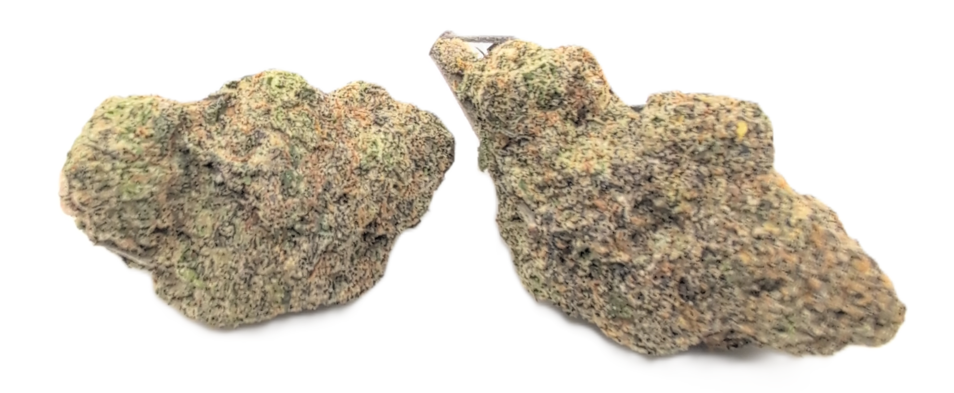 baja gusher Tahoe Alien - Image 1