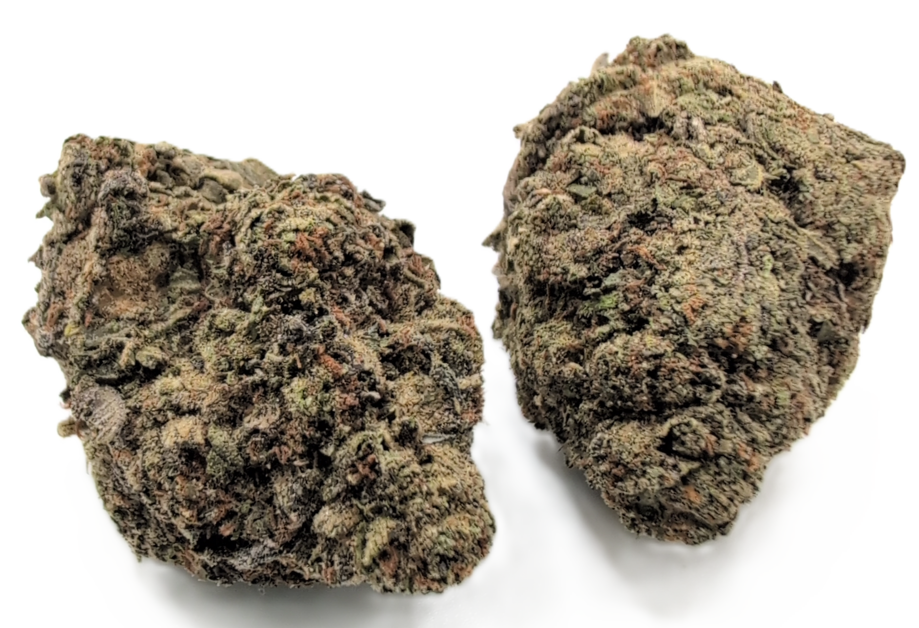 foto_no_exif - 2026-01-25T112000.052 London Pound Cake - Image 1