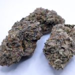 Planet of the Grapes