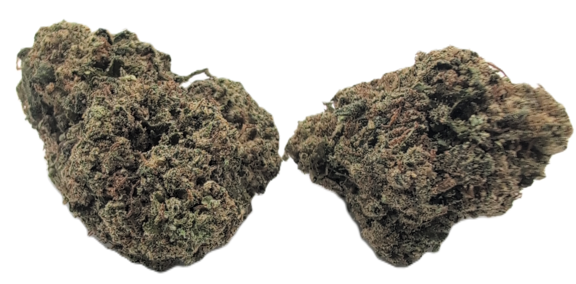 foto_no_exif - 2026-01-19T105036.525 Lemon Cherry Gelato - Image 1