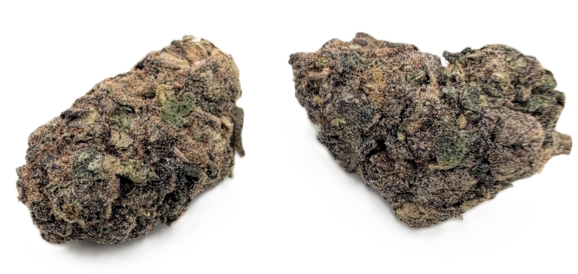 foto_no_exif - 2026-02-11T160345.555 Florida Wedding - Image 1