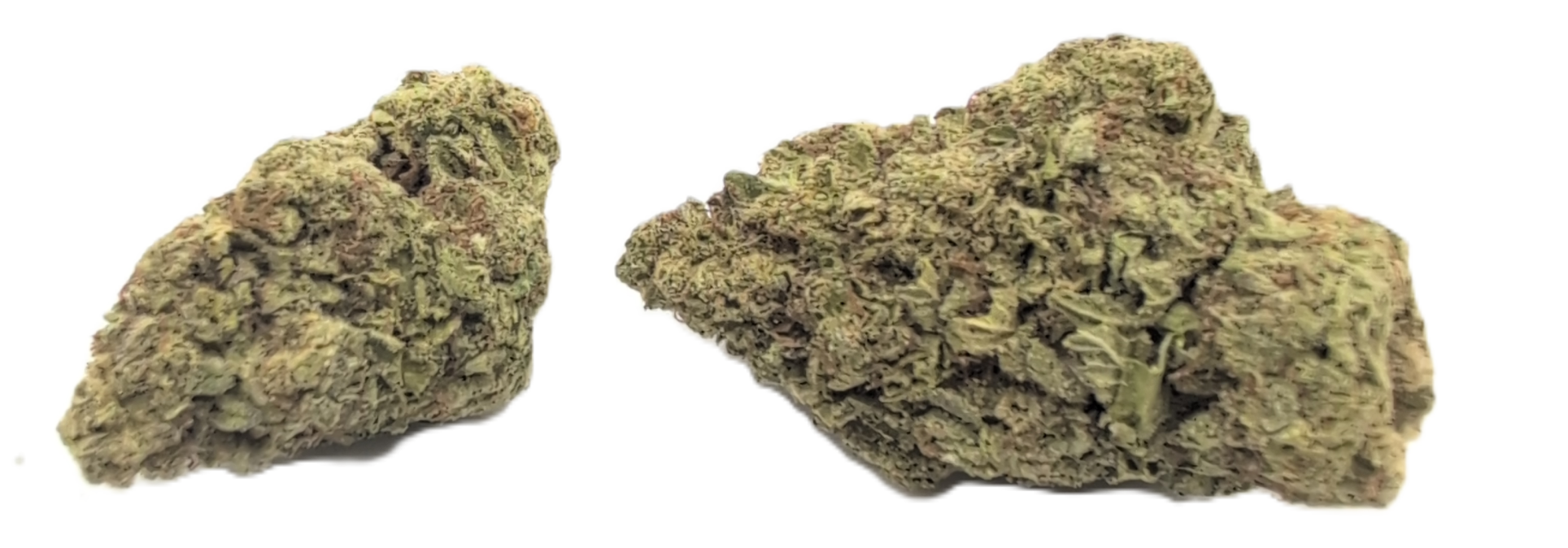 foto_no_exif - 2025-12-30T051641.960 Perfect Pair - Image 1