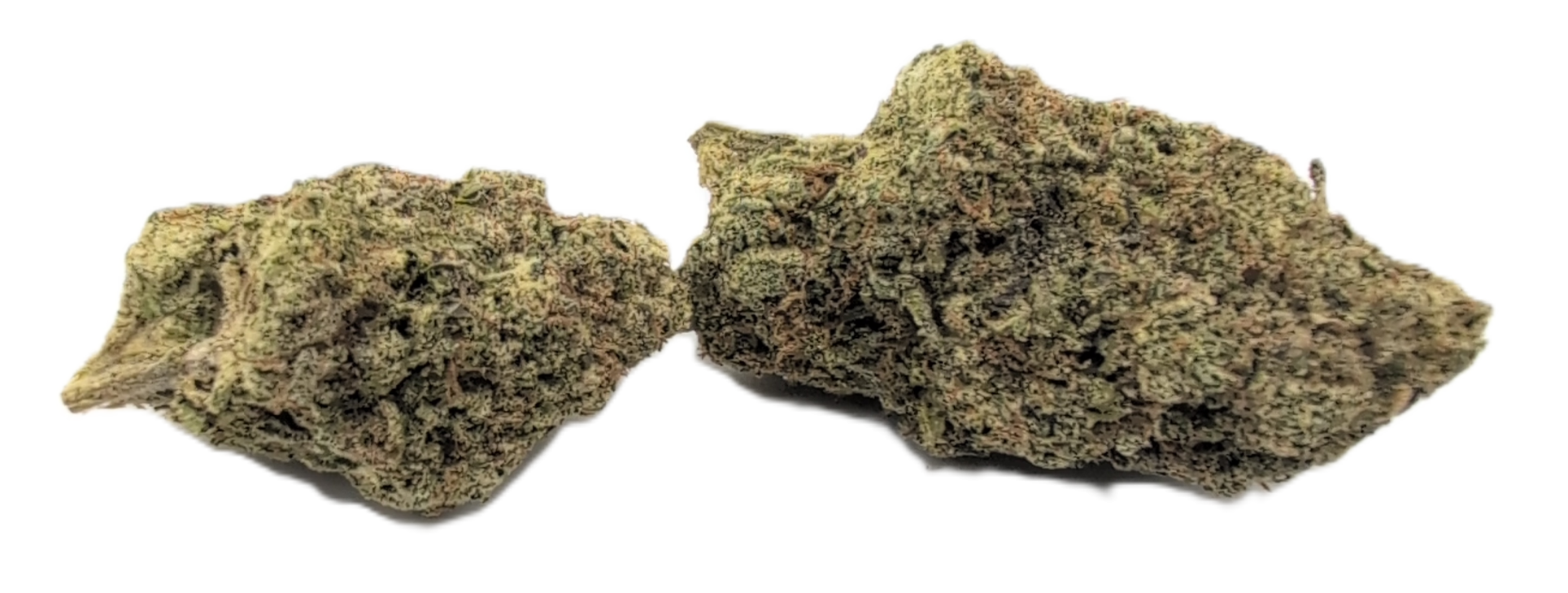 foto_no_exif - 2025-11-28T035245.435 Blue Mammoth - Image 1