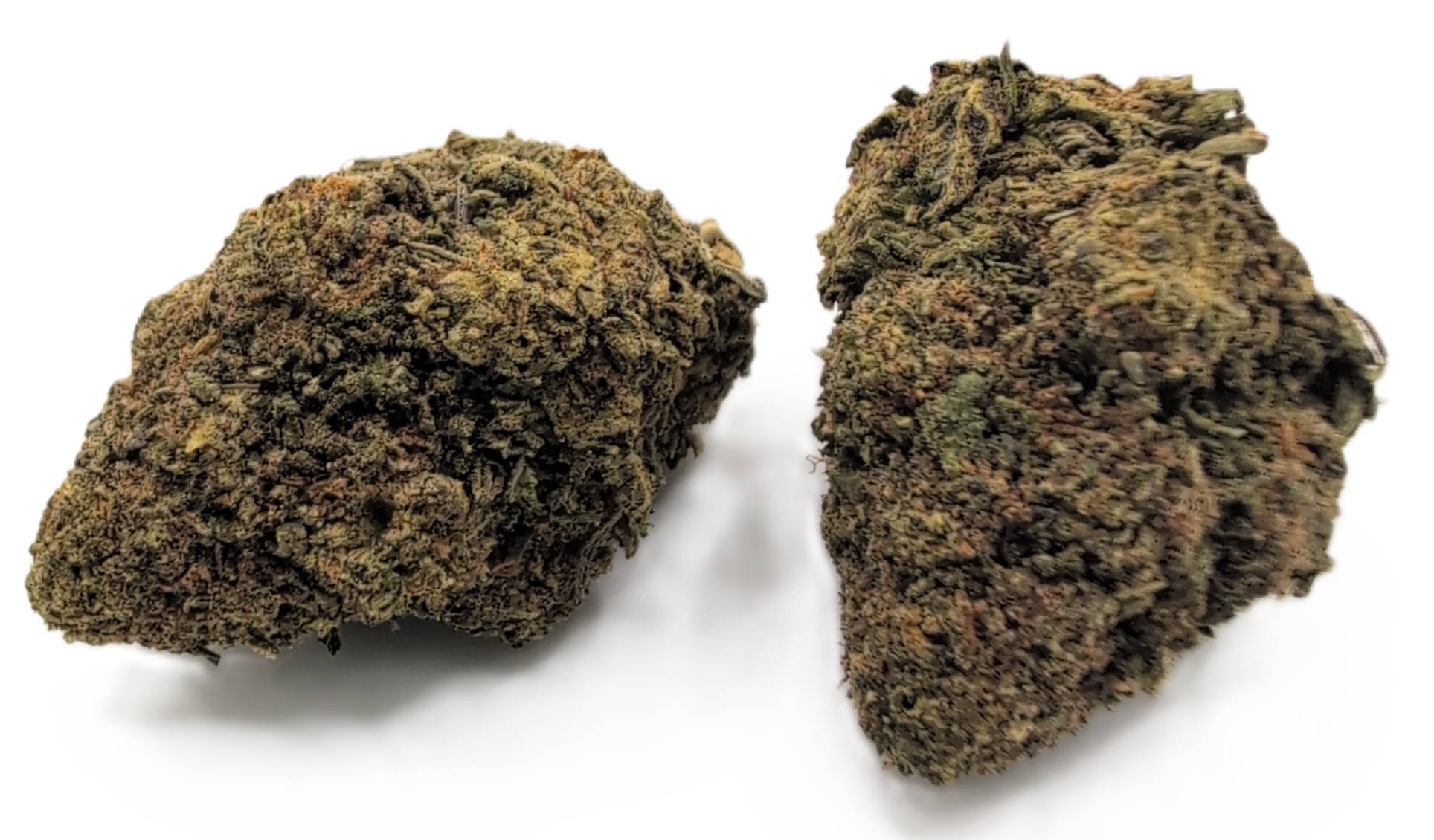 foto_no_exif - 2026-01-19T105146.843 Sweet Z - Image 1