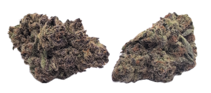 Blueberry Land