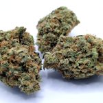 Amsterdam Super Silver Haze