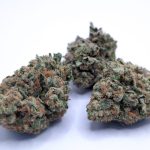 Lemon Cherry Fritter