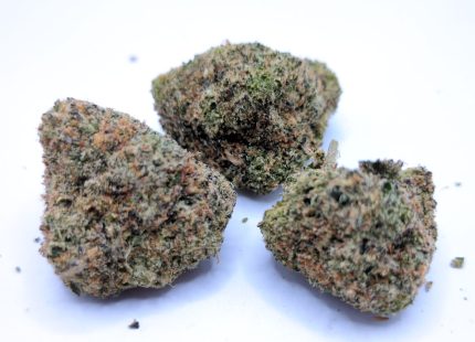 Pineapple Beltz