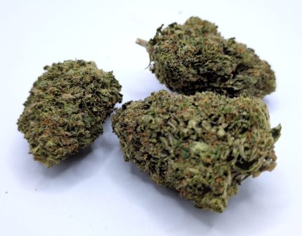 Frosty Gelato