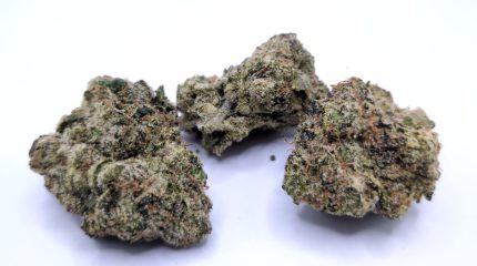 Cherry Wonka