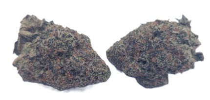 Gelush(‘jeles) 3.5G (FREE PROMO READ DESRIPTION)