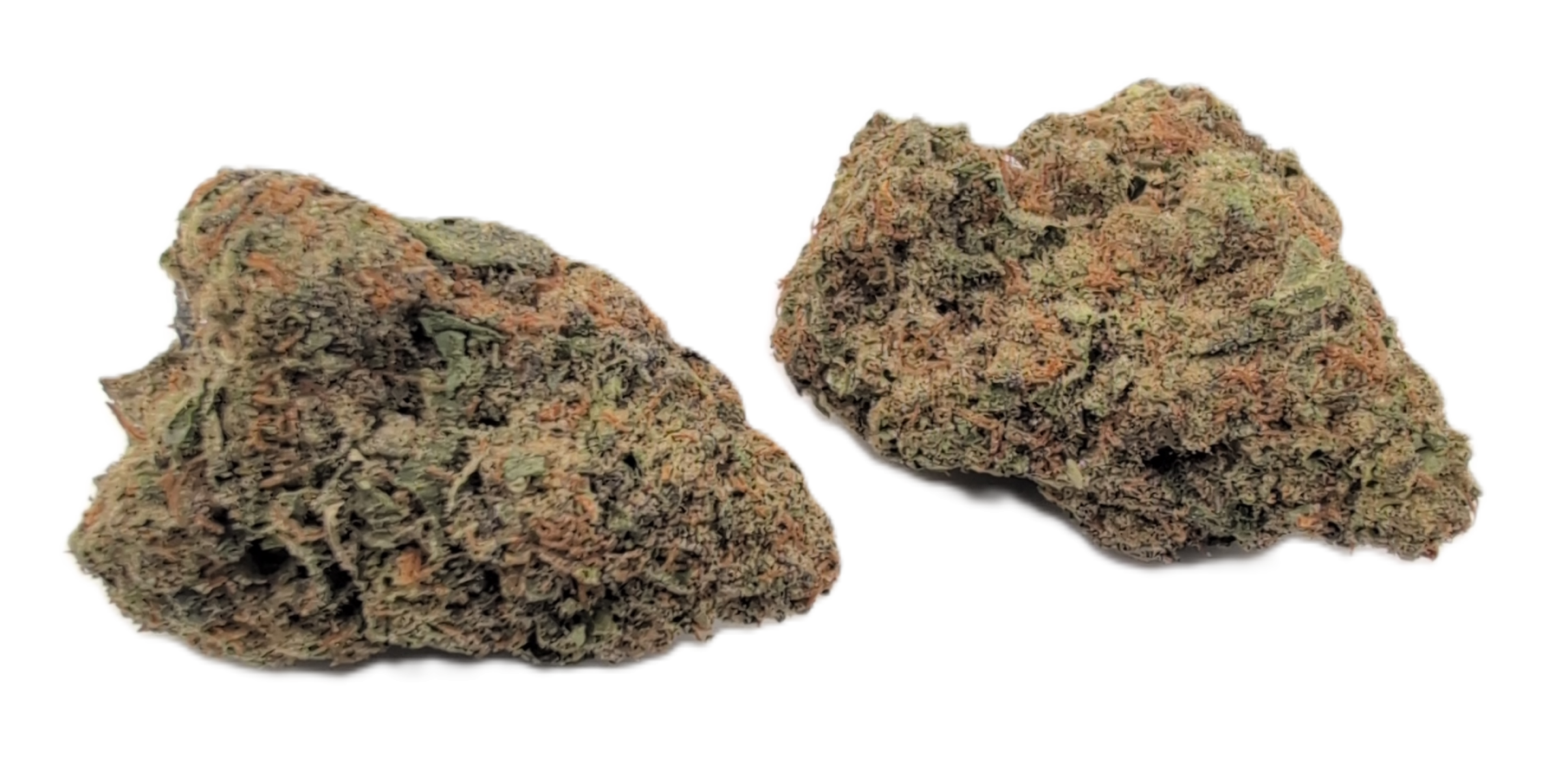 foto_no_exif - 2025-11-12T132240.785