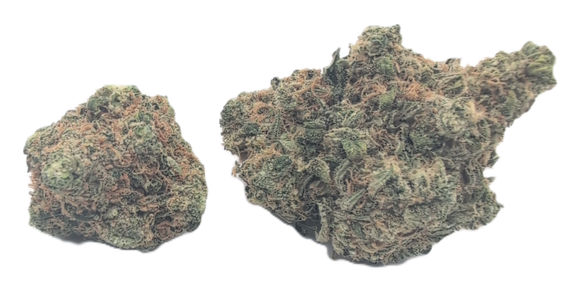 foto_no_exif - 2025-11-18T043424.782