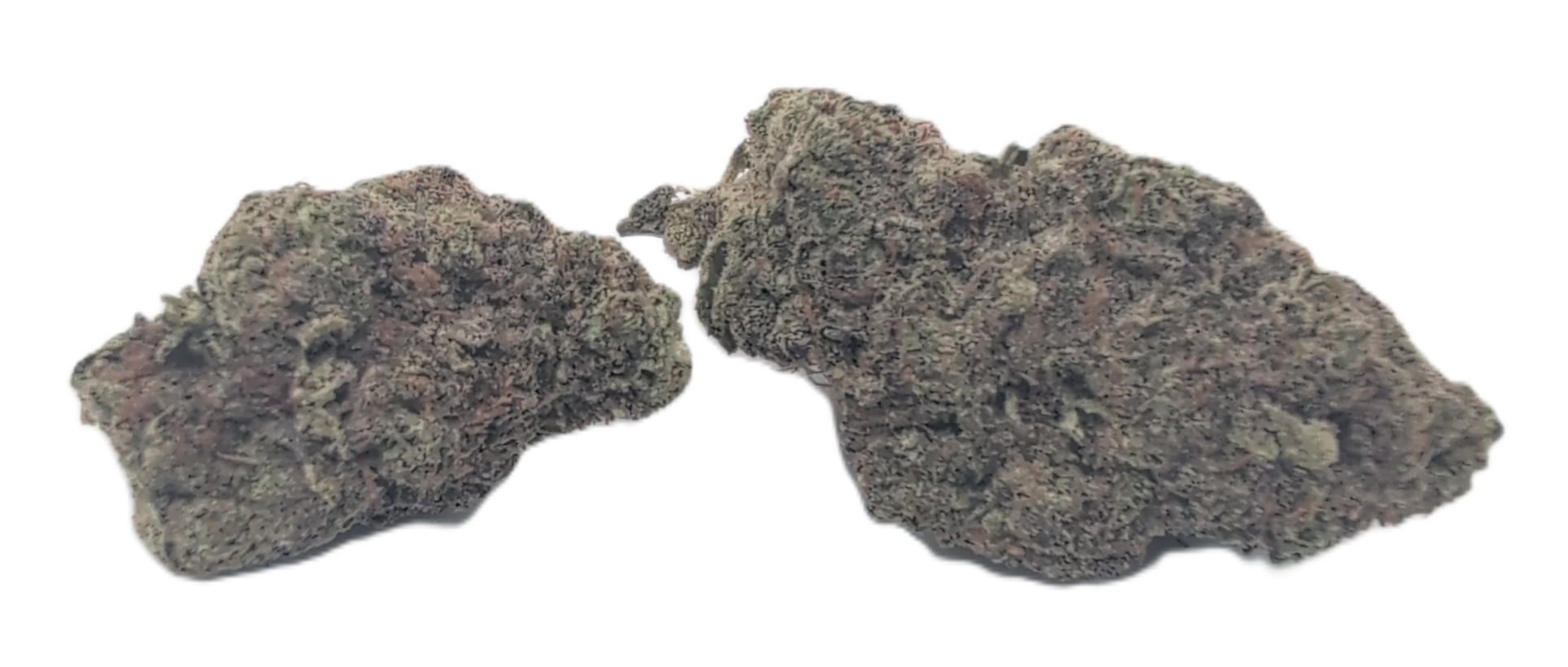 foto_no_exif - 2025-11-18T083714.854