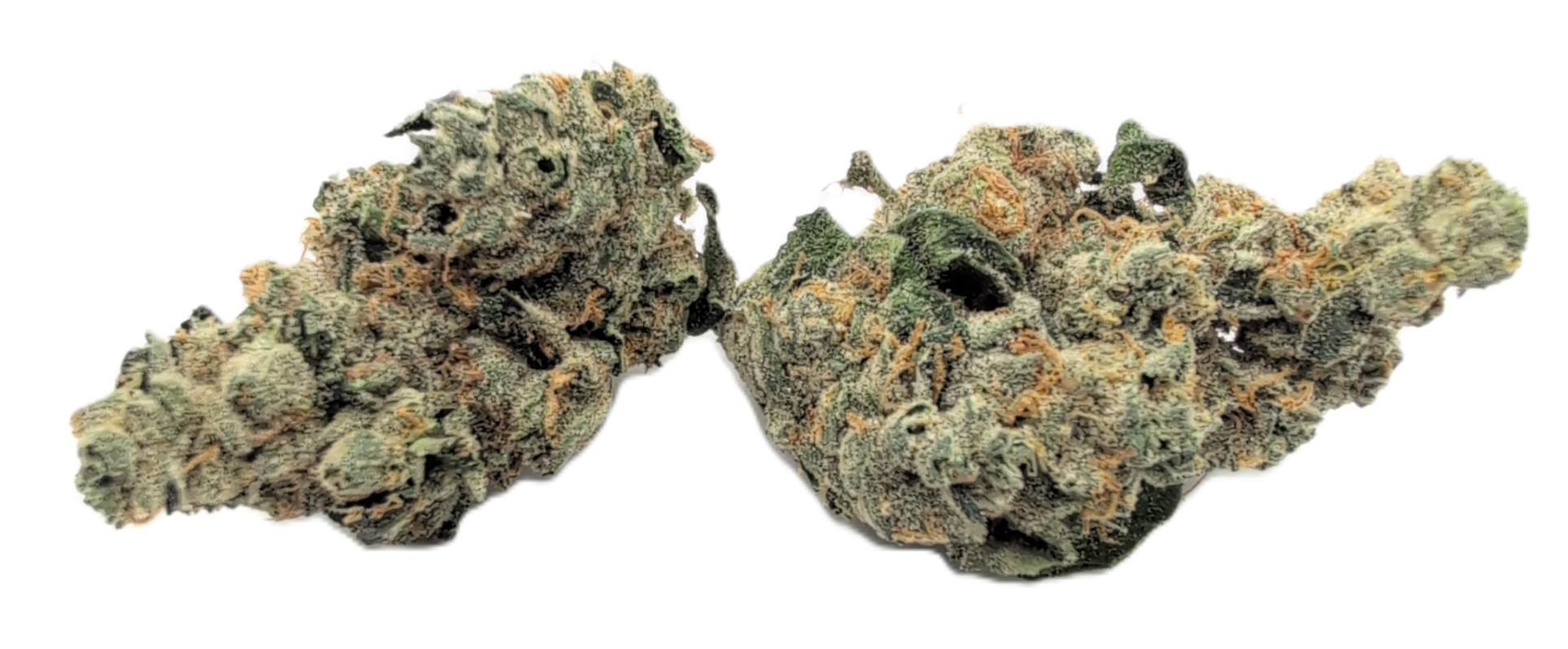 foto_no_exif - 2025-11-22T172334.801