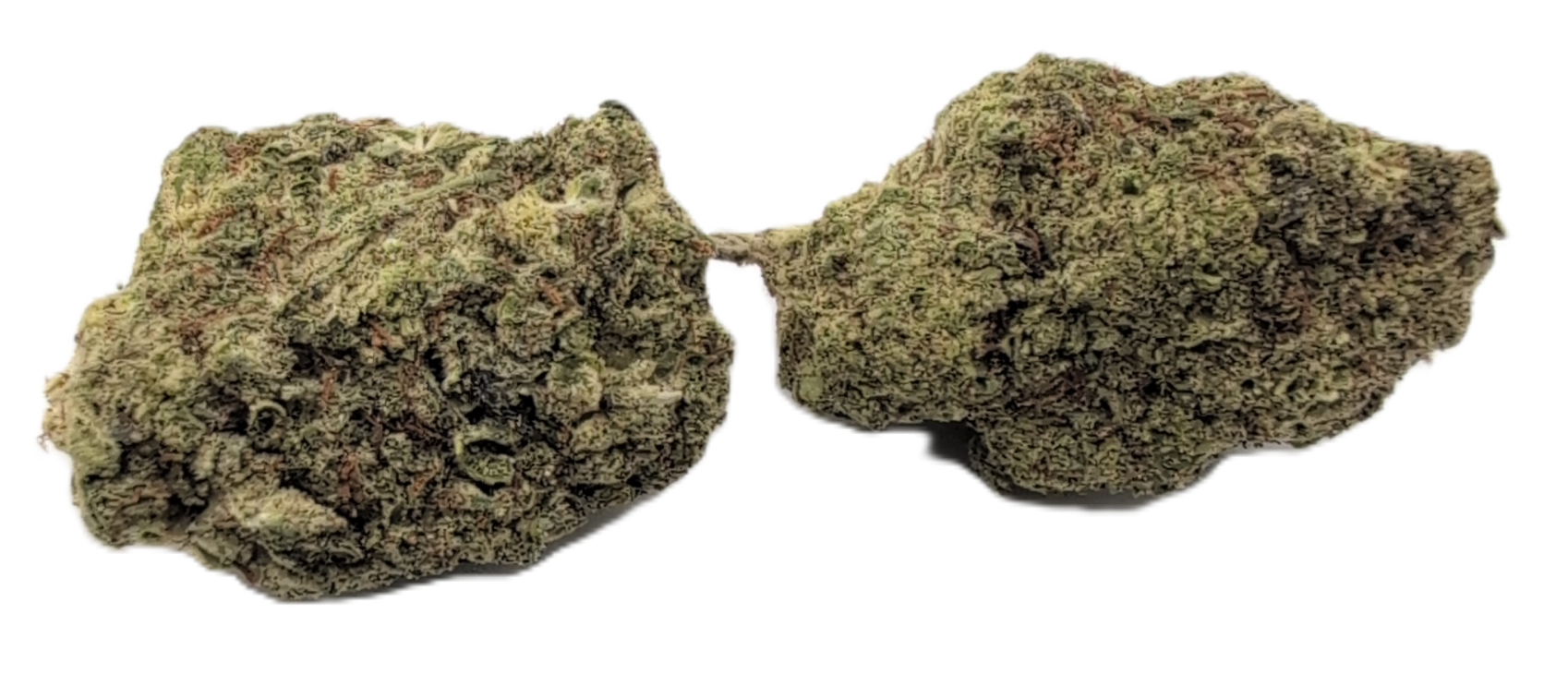 foto_no_exif - 2025-12-02T060003.996 Oreoz - Image 1