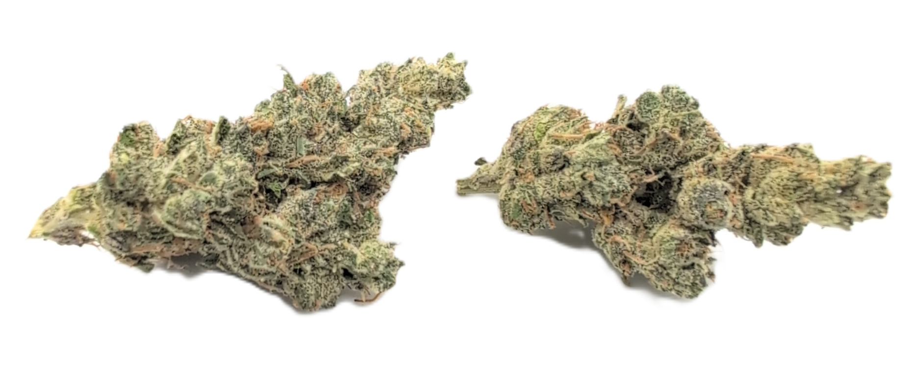 foto_no_exif - 2025-12-02T060105.644 Zushilato - Image 1