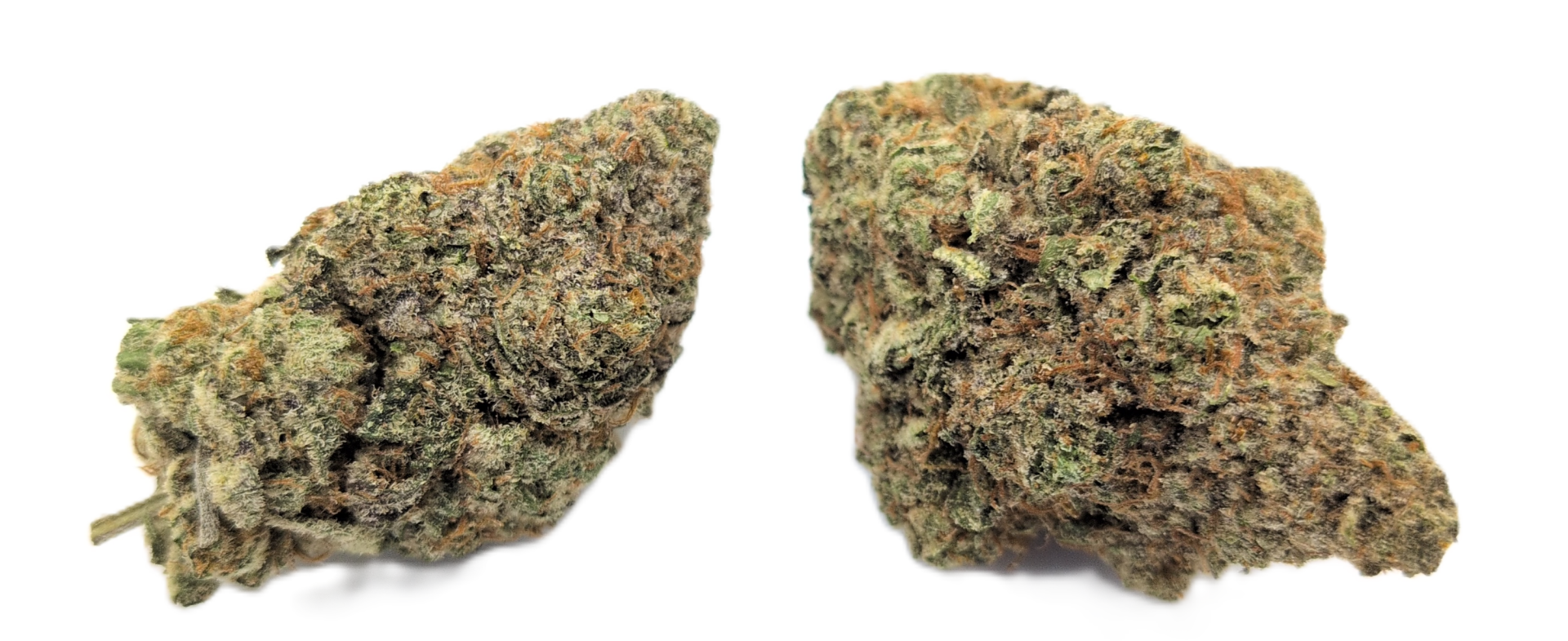 foto_no_exif - 2025-12-14T062545.674 Citrus Sap - Image 1