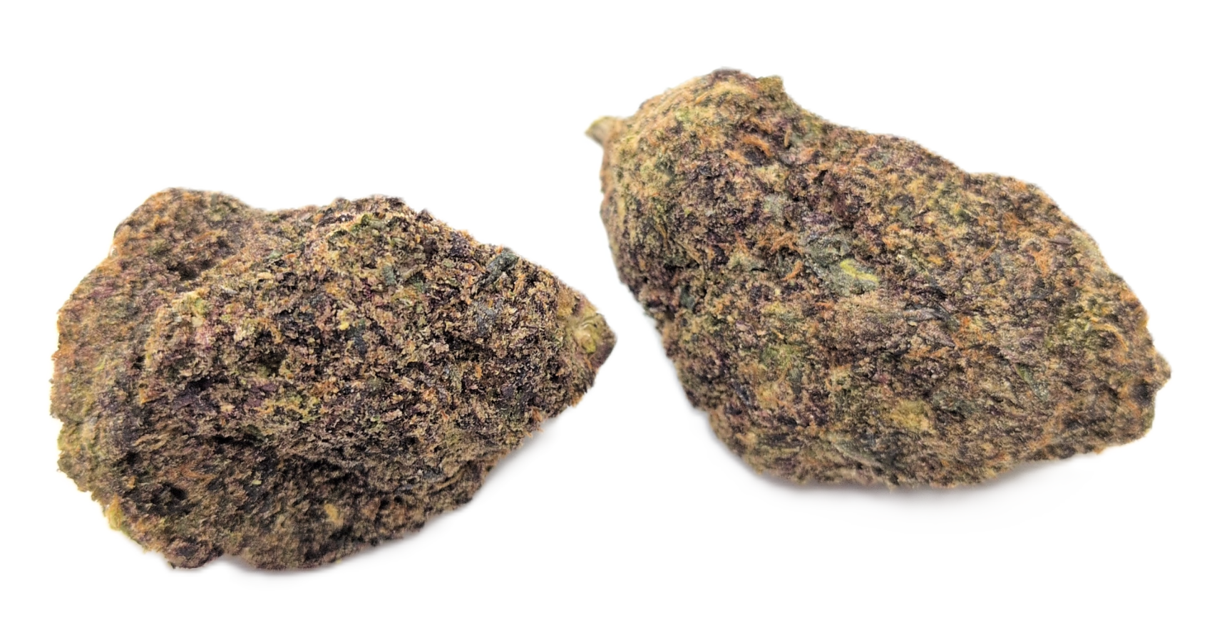 foto_no_exif - 2025-12-14T062606.951 Purple Punch - Image 1