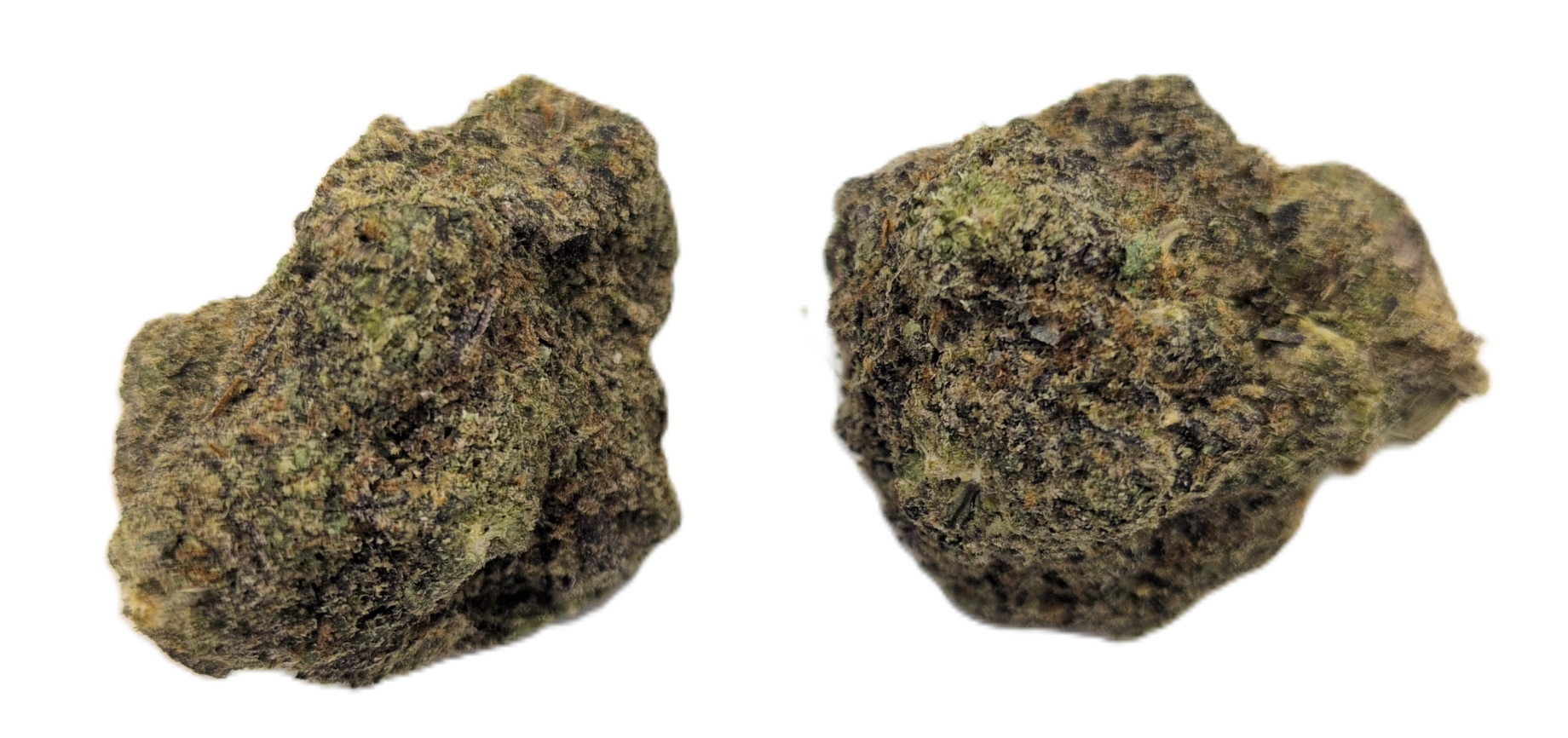 foto_no_exif - 2025-12-14T062629.673 Congo Bongo - Image 1