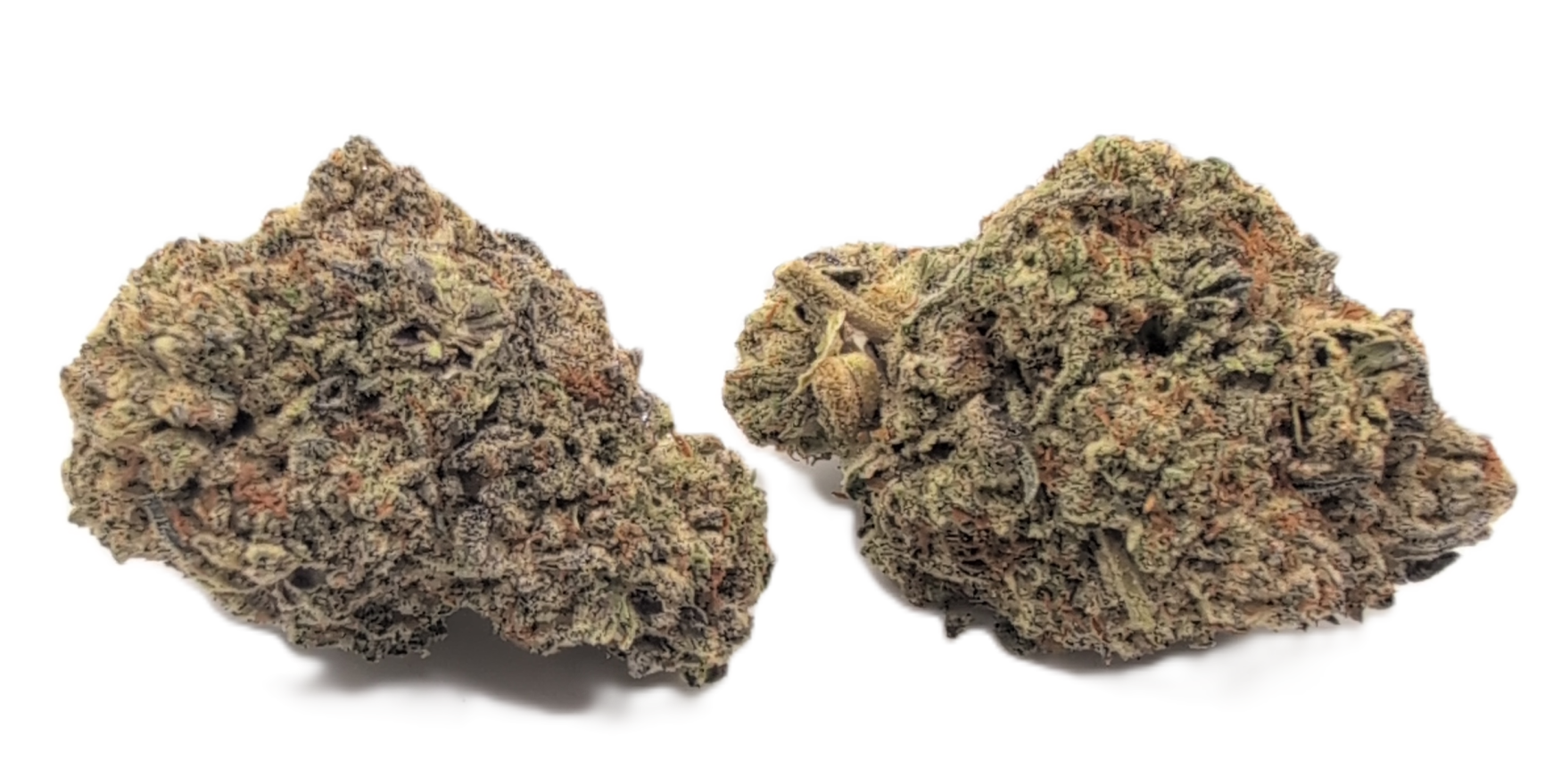 foto_no_exif - 2025-12-30T051559.466 Secret Weapon - Image 1