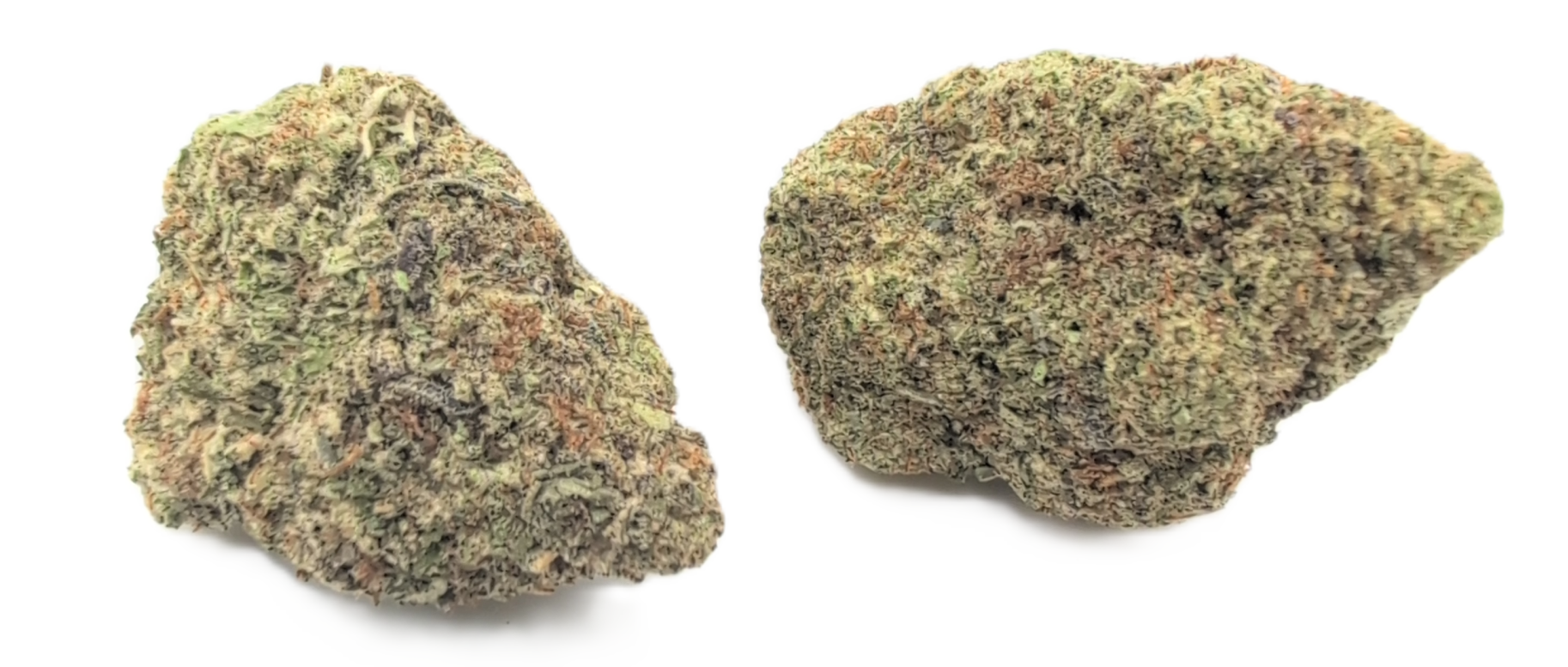 foto_no_exif - 2025-12-30T051653.197 Charlie Sheen - Image 1