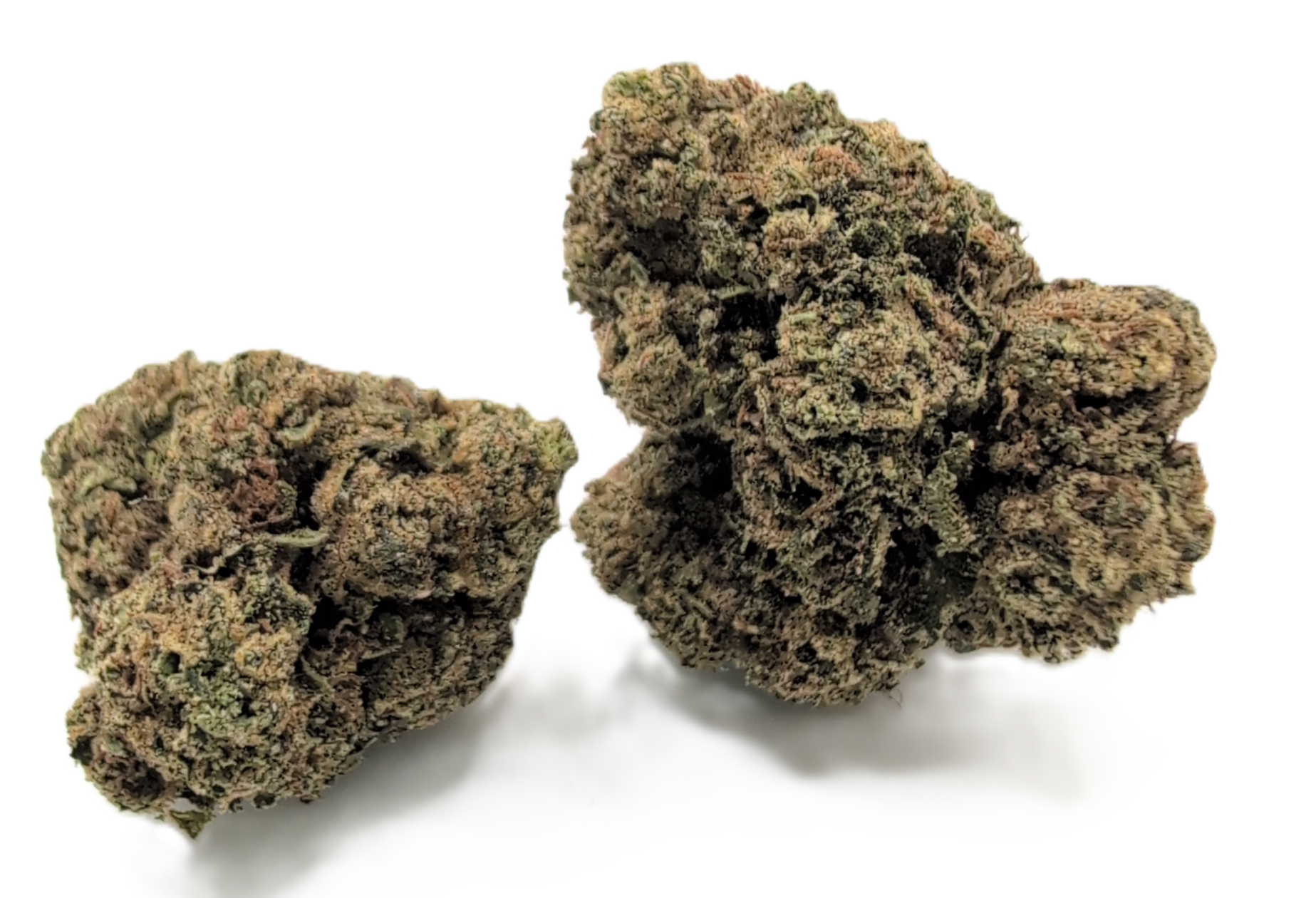 foto_no_exif - 2026-01-25T112019.251 Red Bubblegum - Image 1