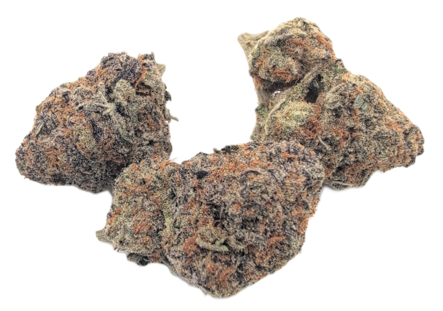 foto_no_exif - 2026-02-19T193340.212 Malone - Image 1