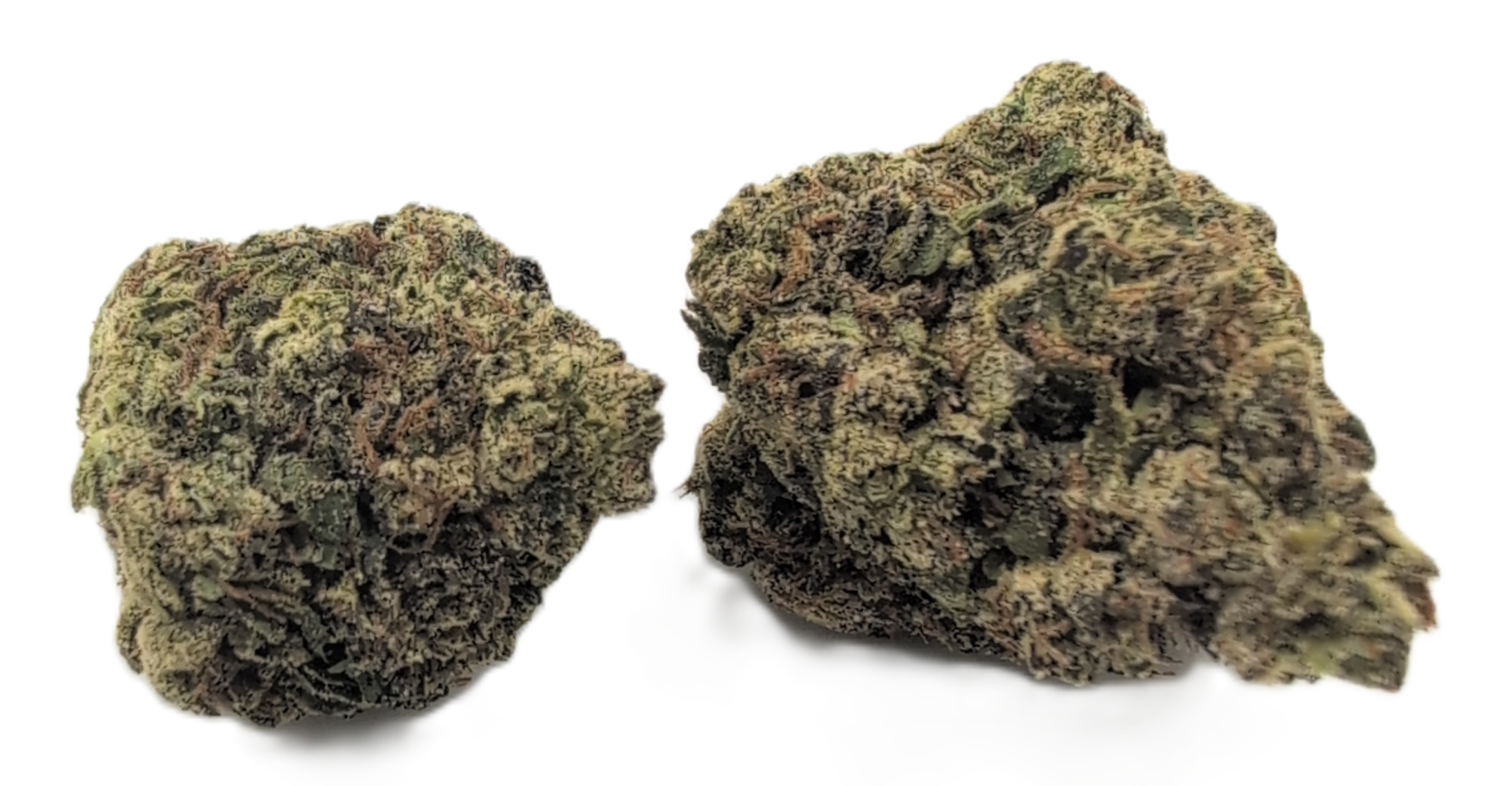 foto_no_exif - 2026-02-26T194400.642 Melonade - Image 1